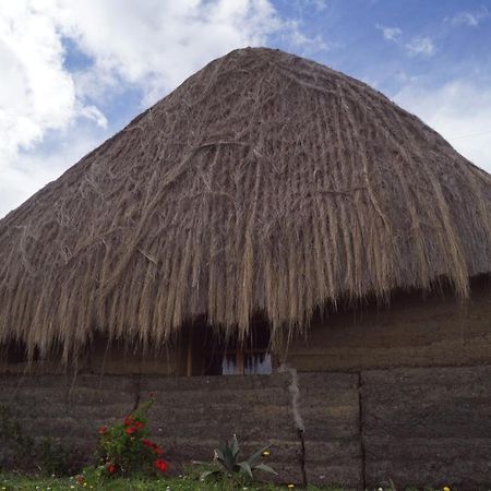Turismo Comunitario La Esperanza Villa Hacienda Colta Екстериор снимка